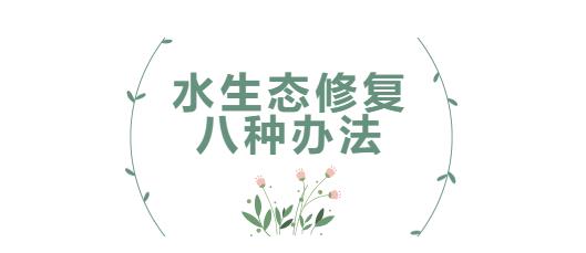 科普小課堂第31期 | 水生態(tài)修復的八種辦法