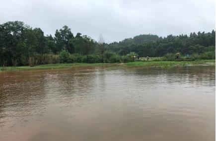 景區(qū)吹響“小微水體”整治攻堅(jiān)戰(zhàn)