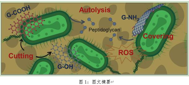 雙良環(huán)境最新科研動態(tài)(2022-10)