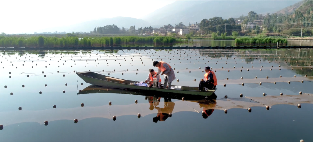 巡河并調(diào)研病險(xiǎn)水庫、農(nóng)村污水治理工程